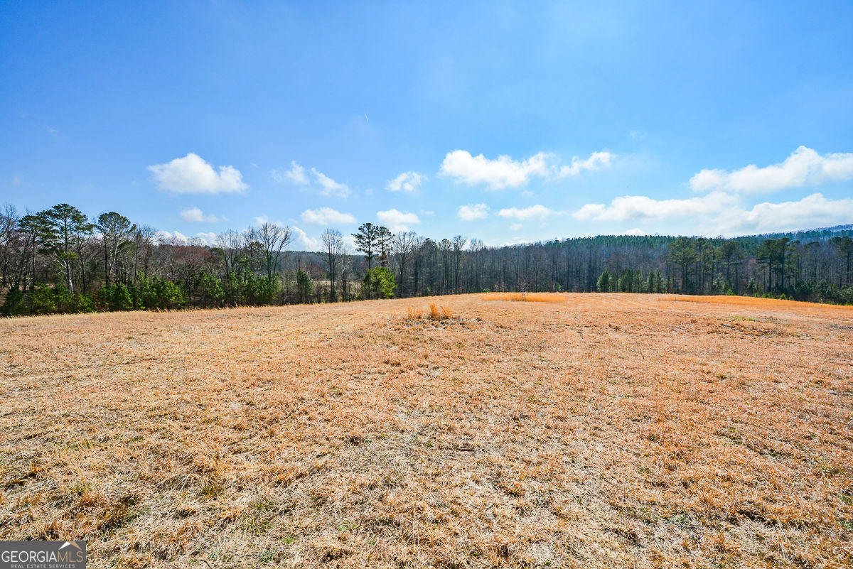 119 Inland 10 Acres Drive Property Photo 10