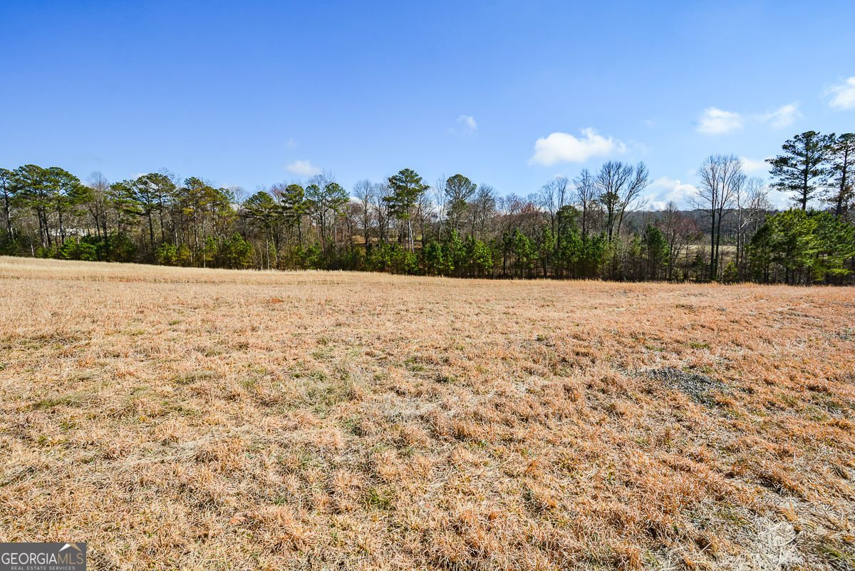 119 Inland 10 Acres Drive Property Photo 11
