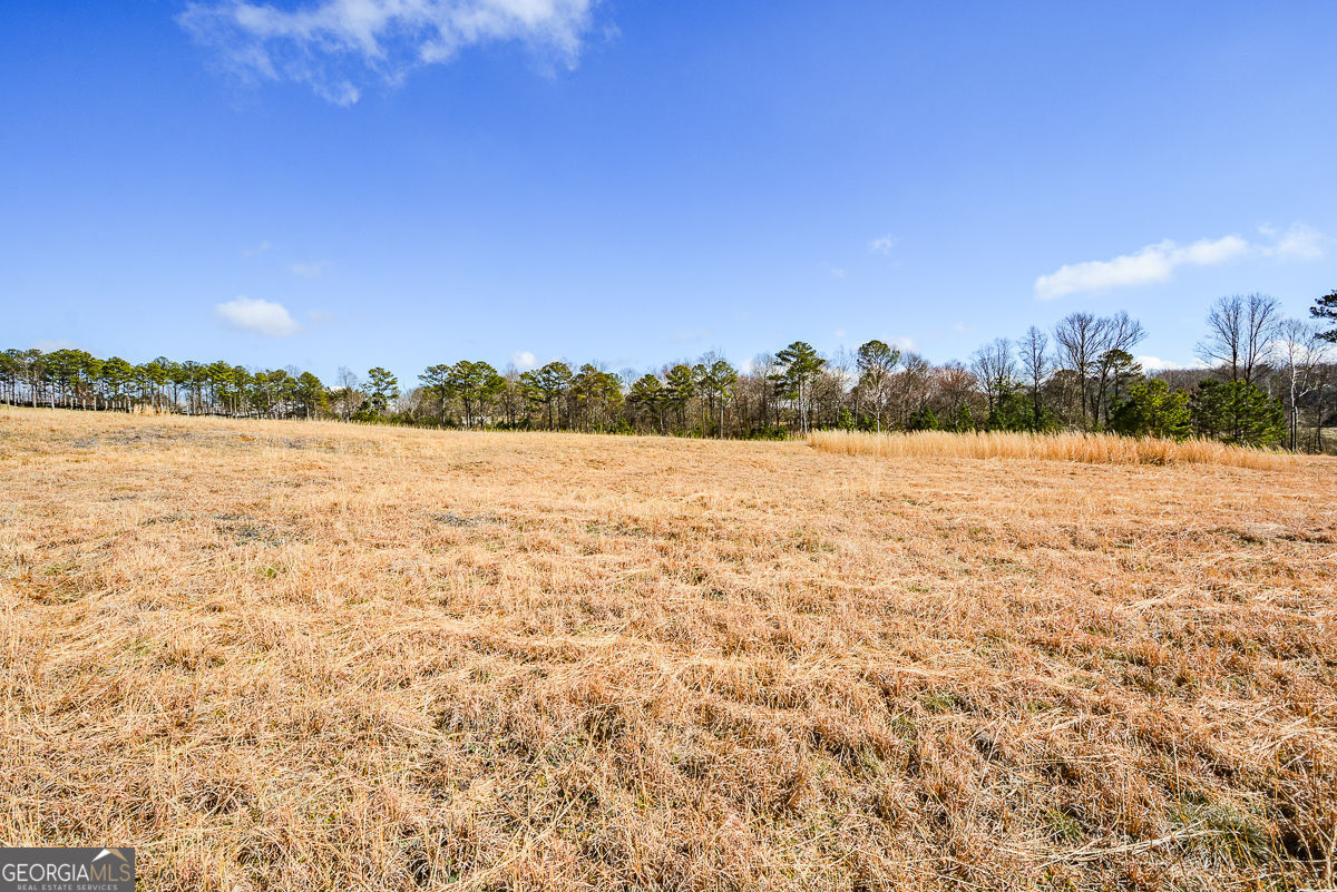 119 Inland 10 Acres Drive Property Photo 13