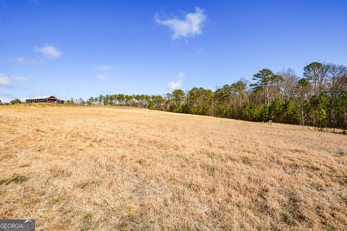 119 Inland 10 Acres Drive Property Photo 14