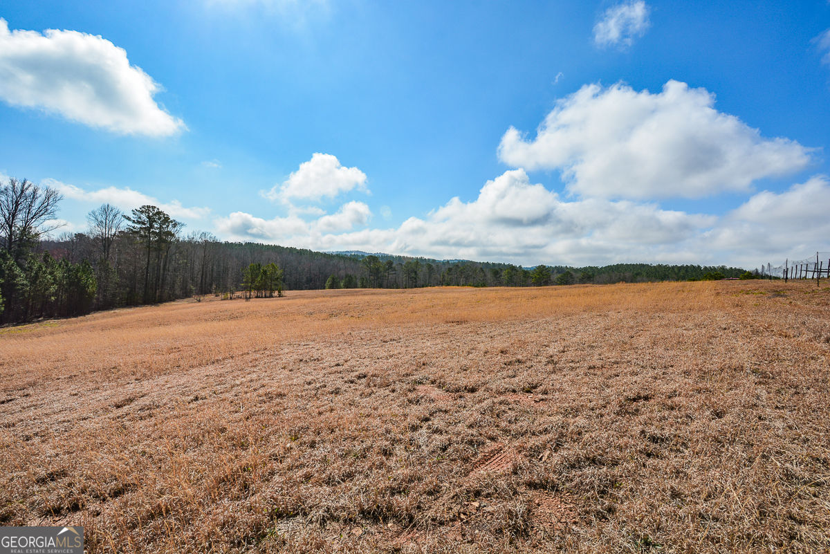 119 Inland 10 Acres Drive Property Photo 15