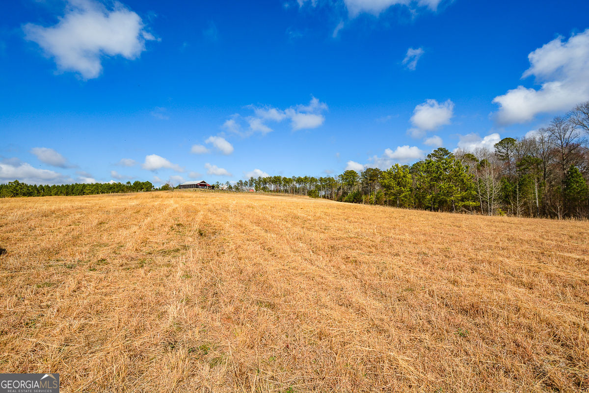 119 Inland 10 Acres Drive Property Photo 16