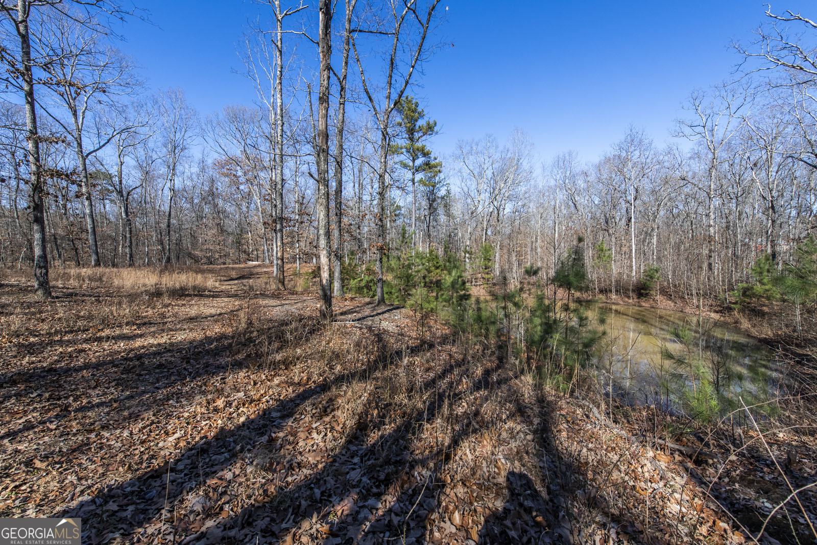 200 Heath Road Property Photo 34