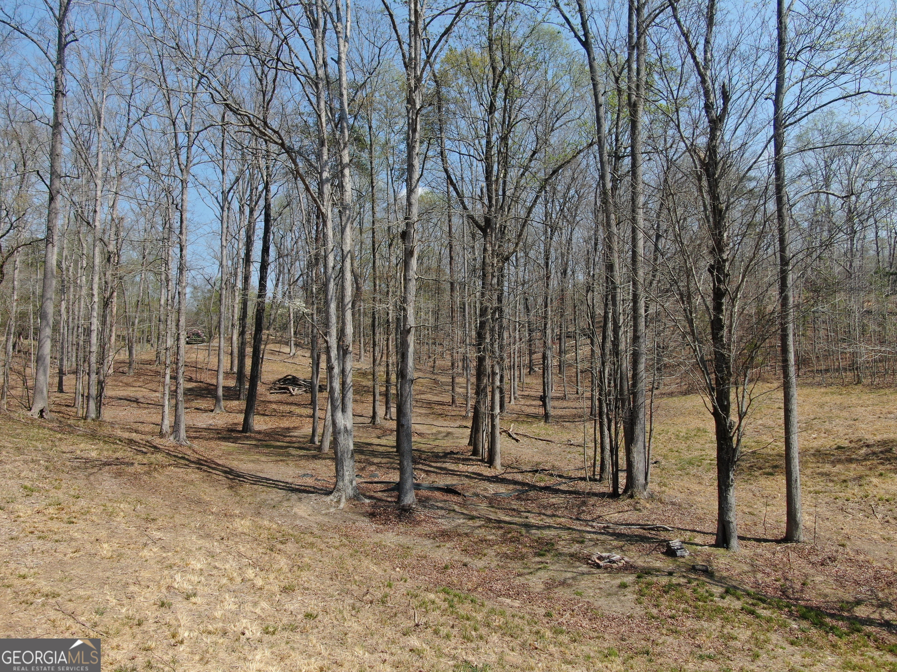 918 Purvis Road Property Photo 9
