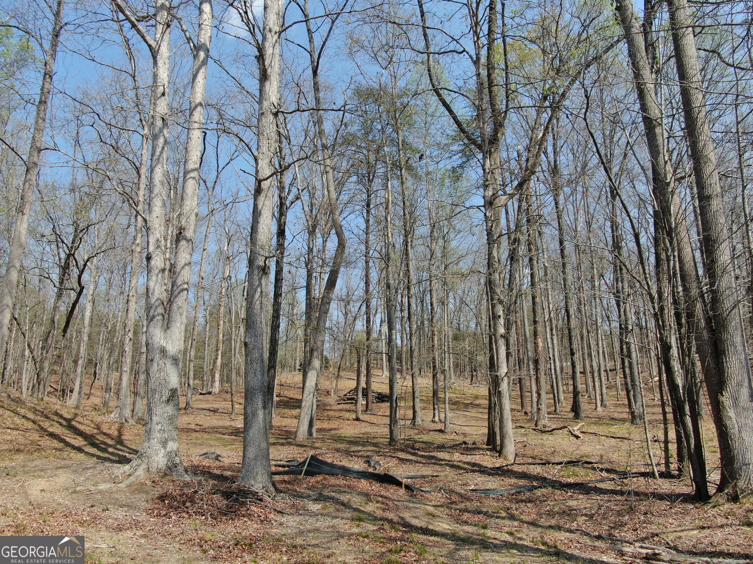 918 Purvis Road Property Photo 10
