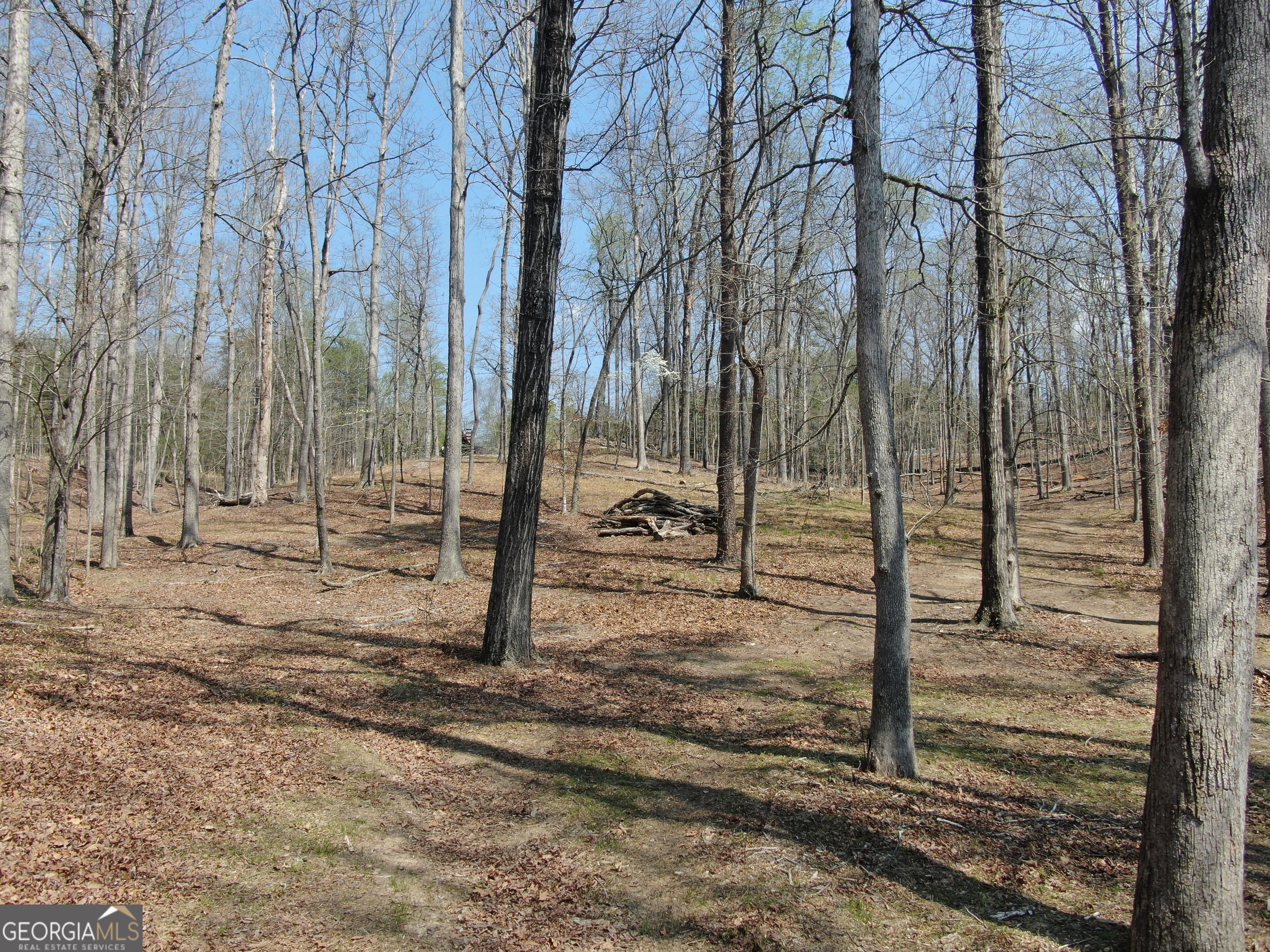 918 Purvis Road Property Photo 13