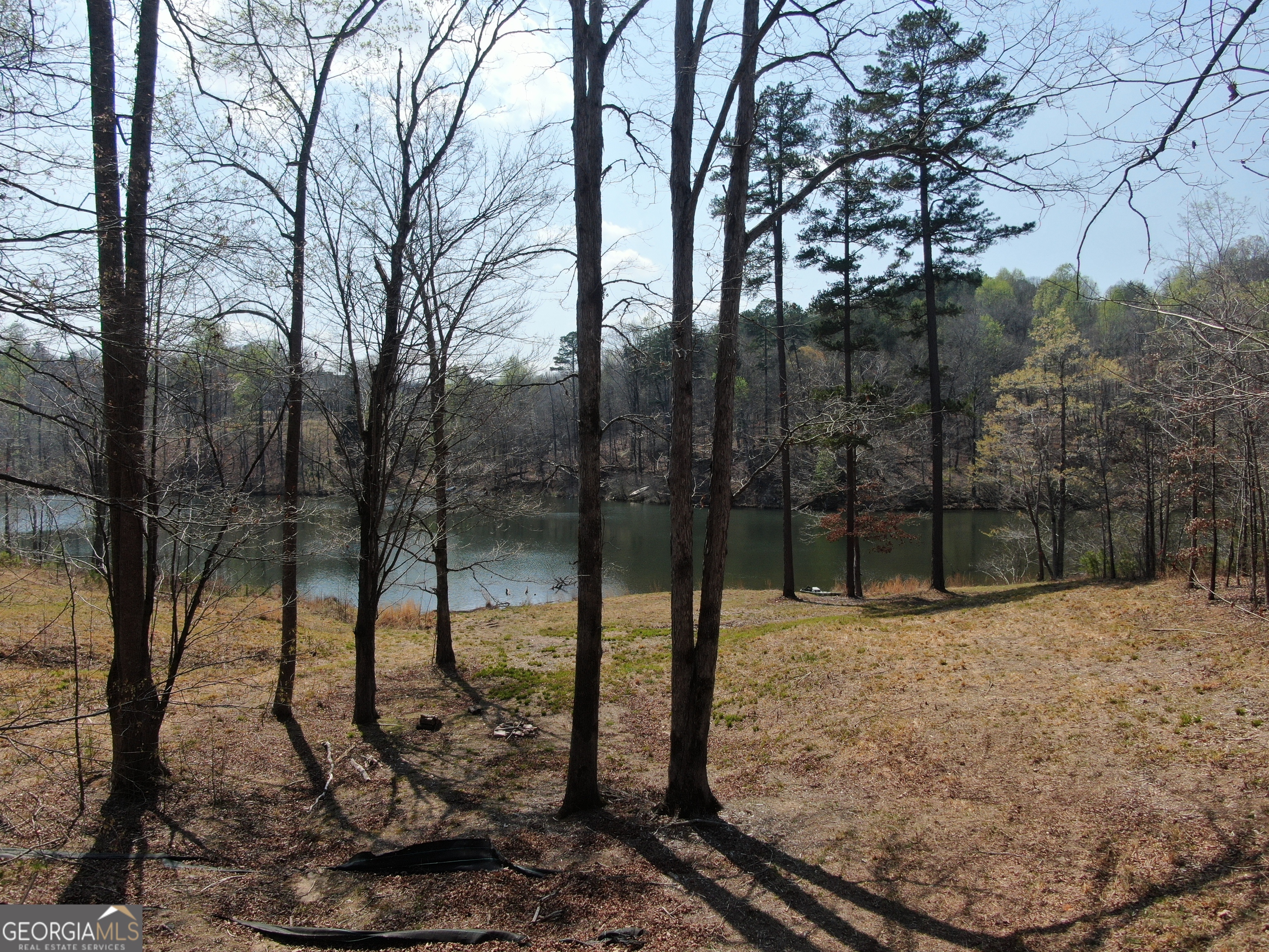 918 Purvis Road Property Photo 14