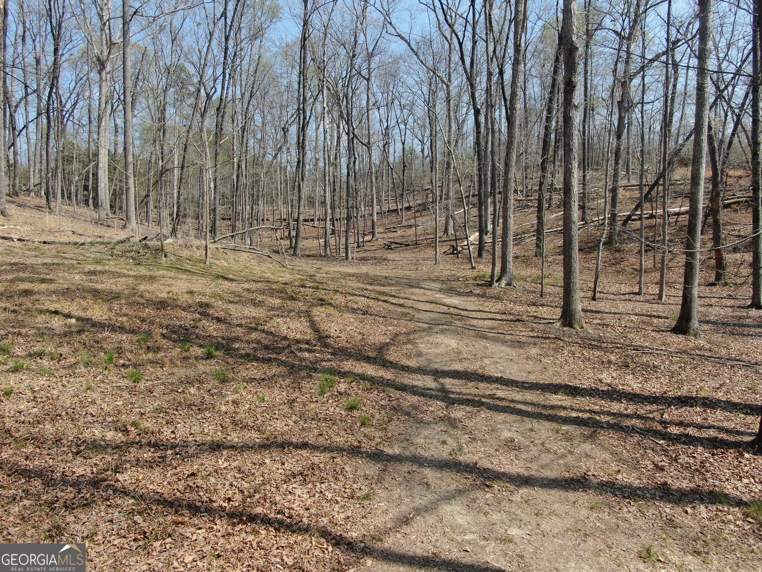 918 Purvis Road Property Photo 15