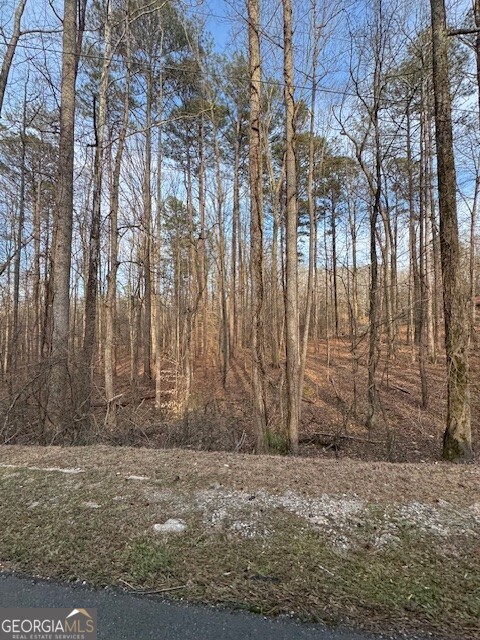 0 Cascade Palmetto Highway Property Photo 1