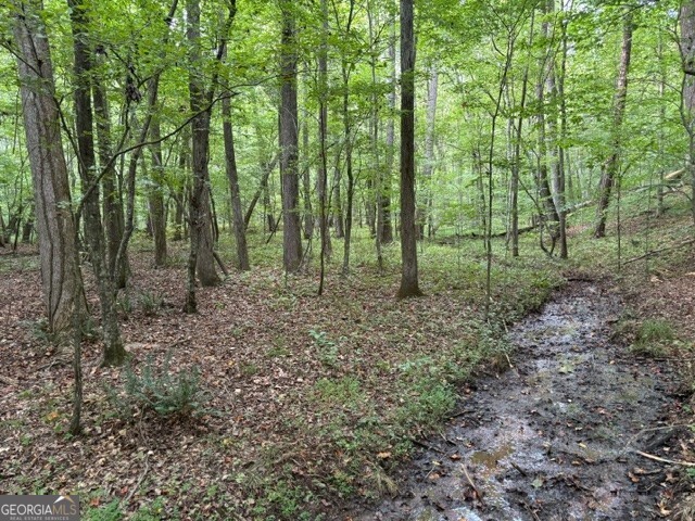 5741 Five Notch Trail Property Photo 1