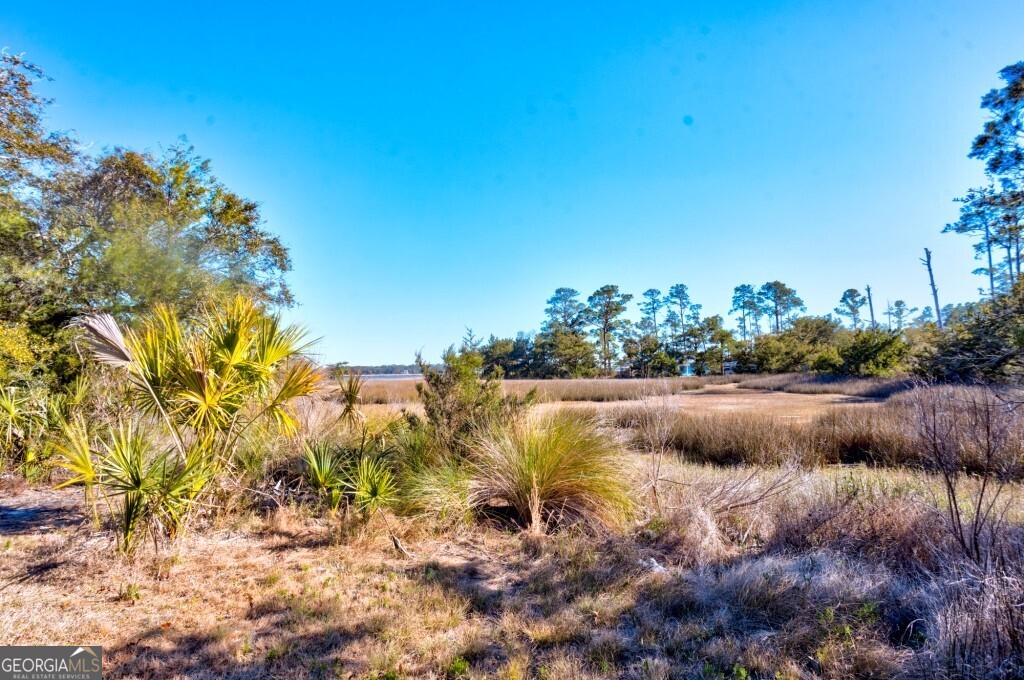 0 Cattle Hammock Road Property Photo 2