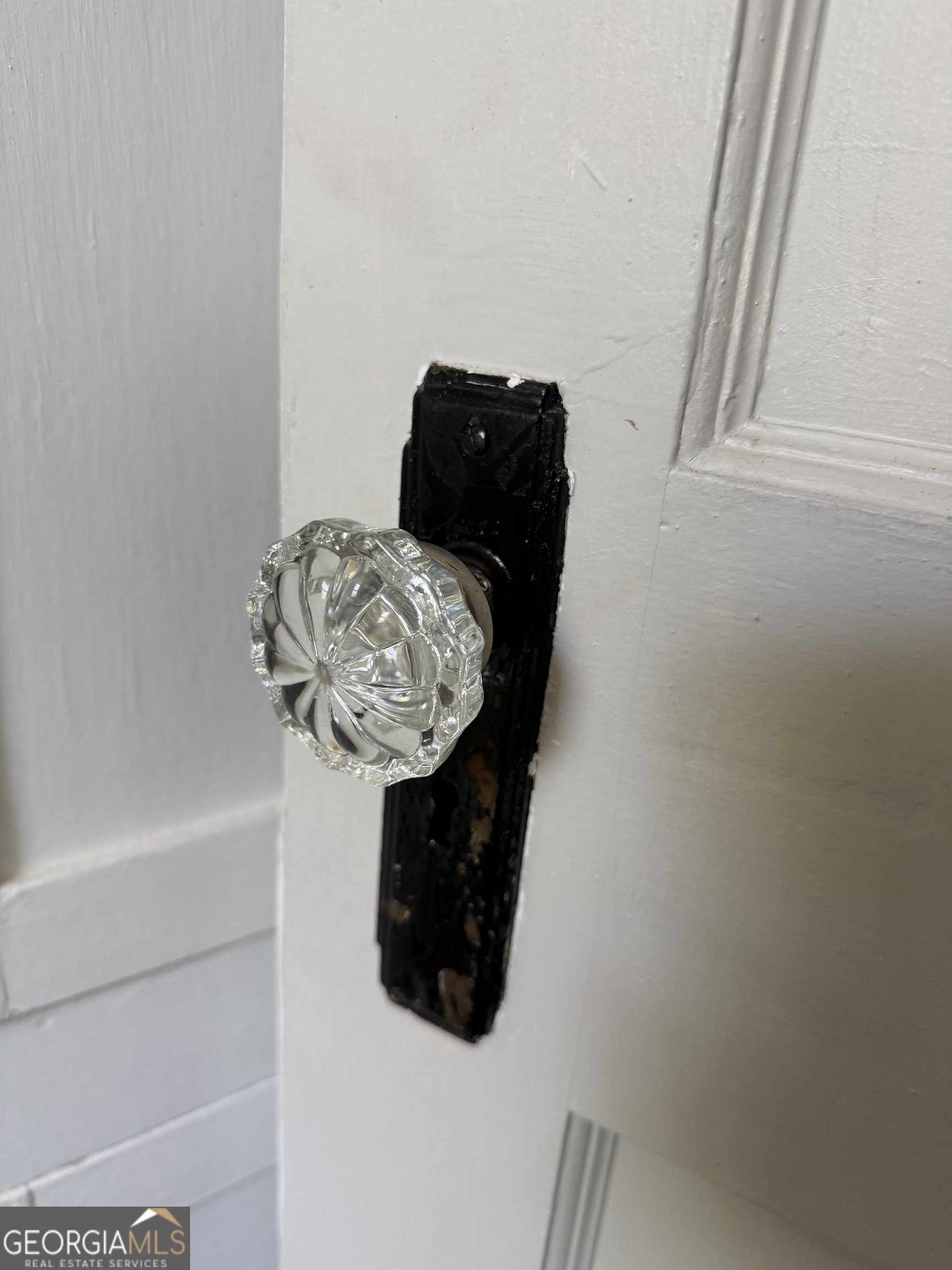 101 Harvey Street Property Photo 27
