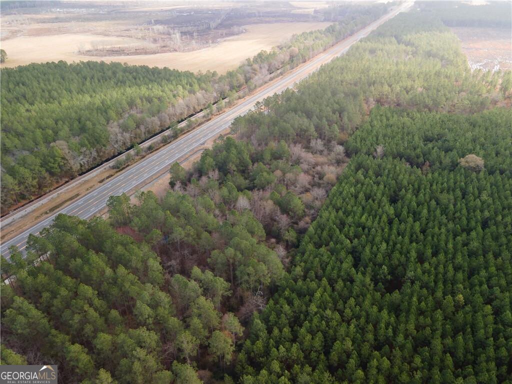 10.00 Ac Highway 341 Property Photo 2