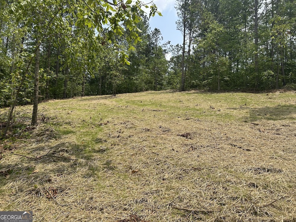 114 River Cove (tract 16) Property Photo 21