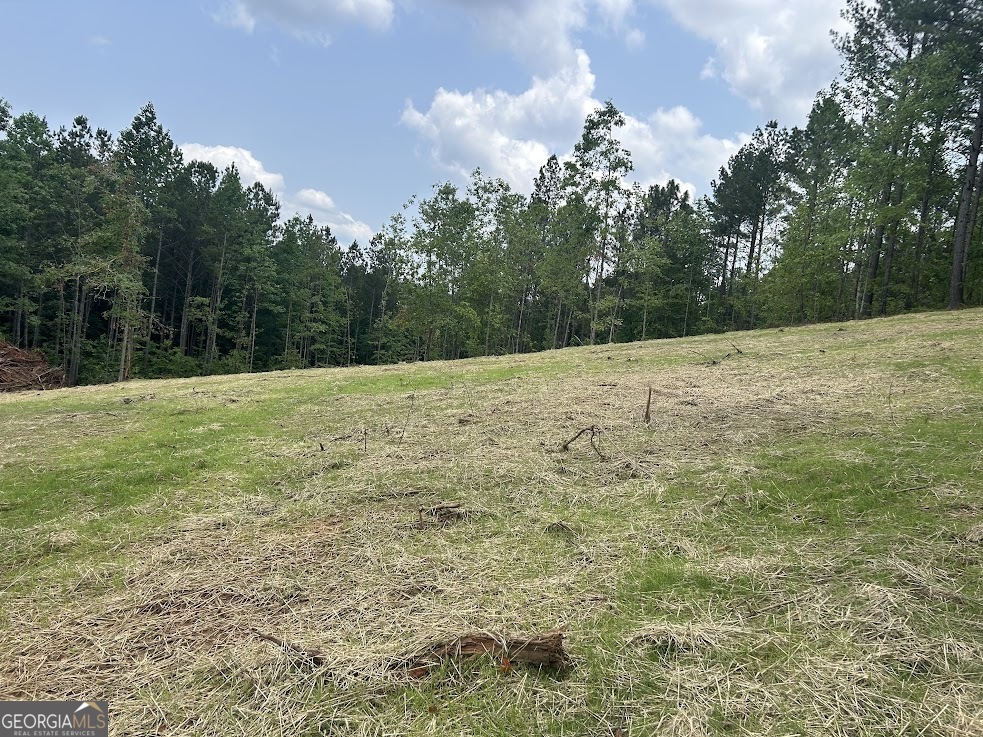114 River Cove (tract 16) Property Photo 26