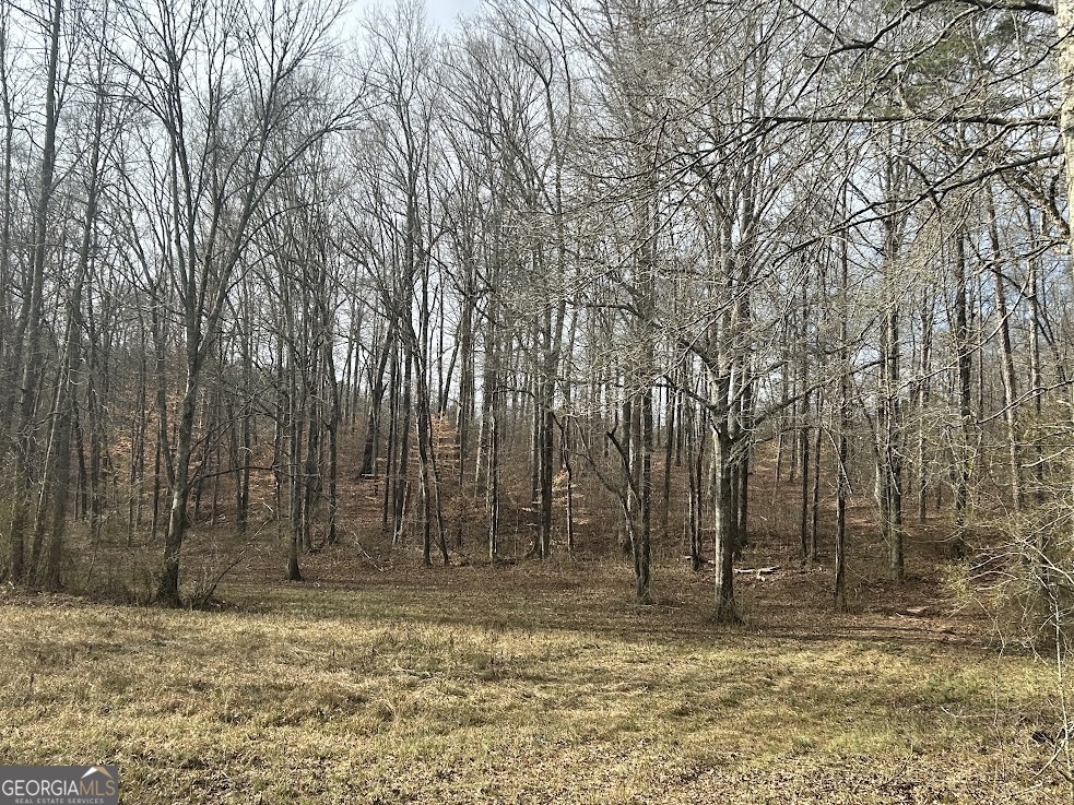 114 River Cove (tract 16) Property Photo 55