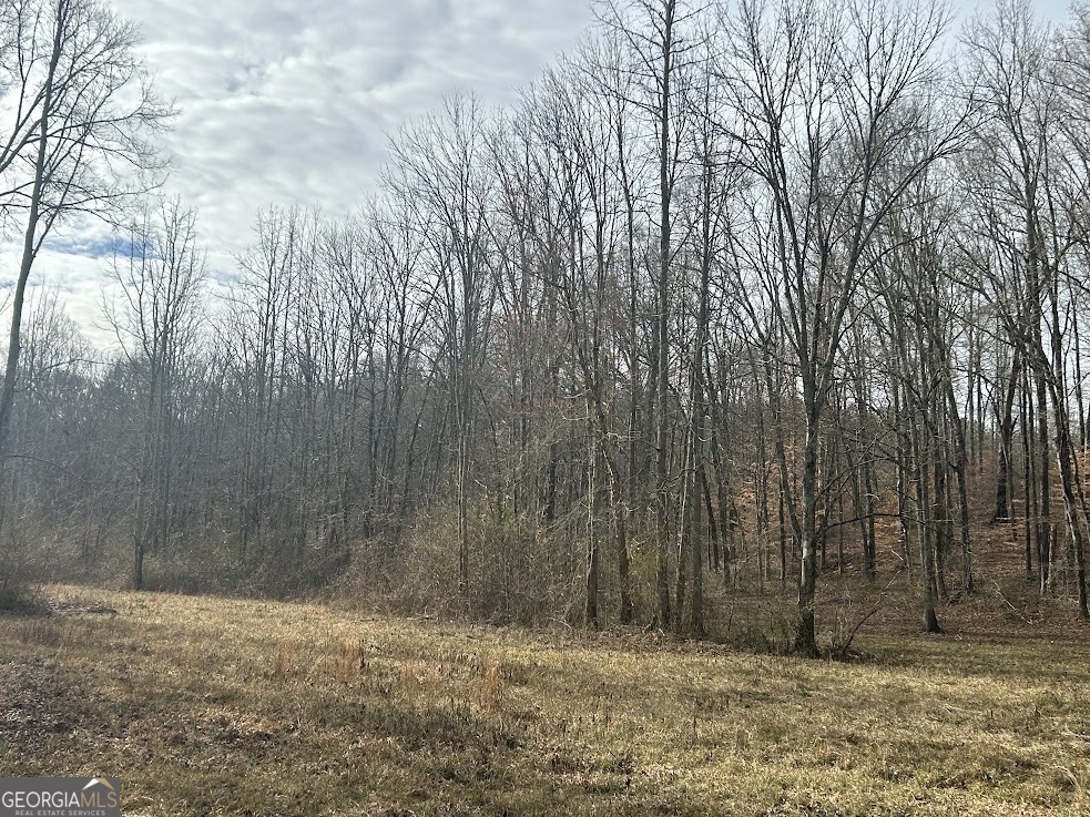 114 River Cove (tract 16) Property Photo 56