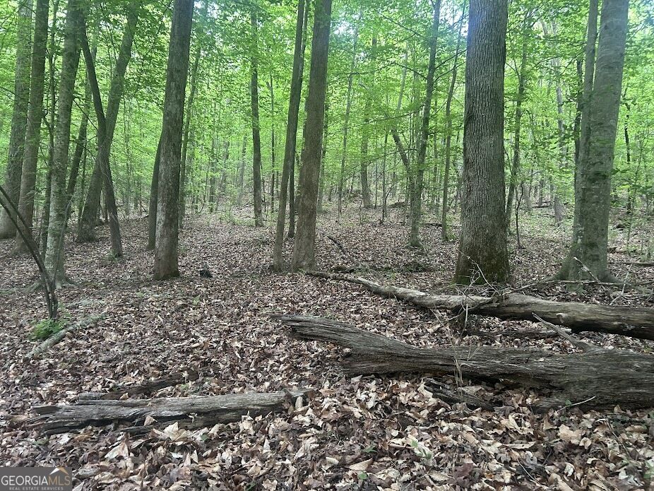 236 RiverSong (Tract 8) Property Photo 1