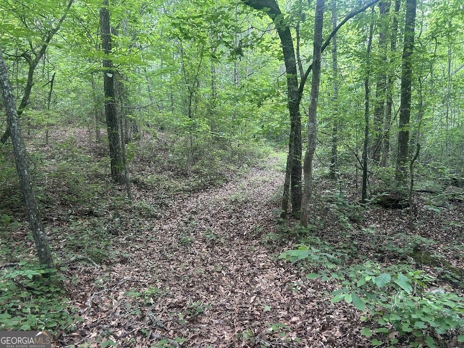 236 Riversong (tract 8) Property Photo 2
