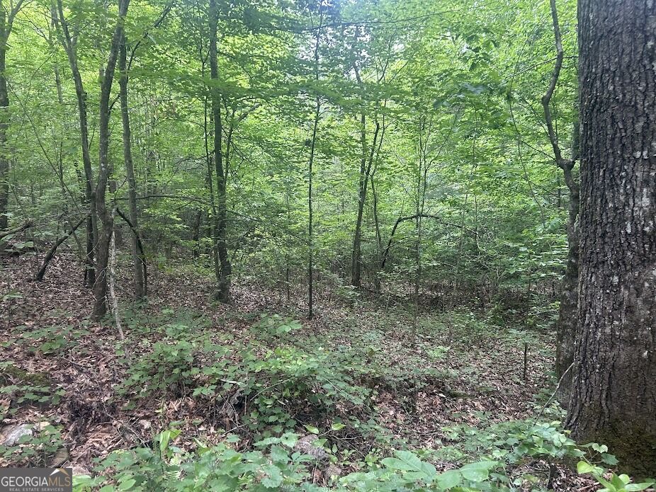 236 Riversong (tract 8) Property Photo 4