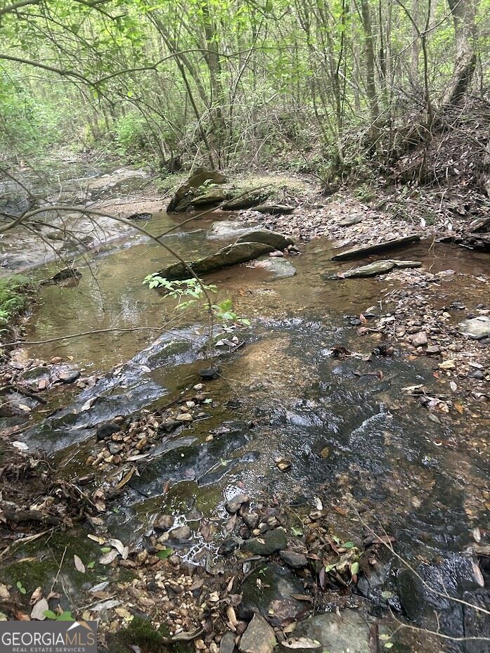 236 Riversong (tract 8) Property Photo 5