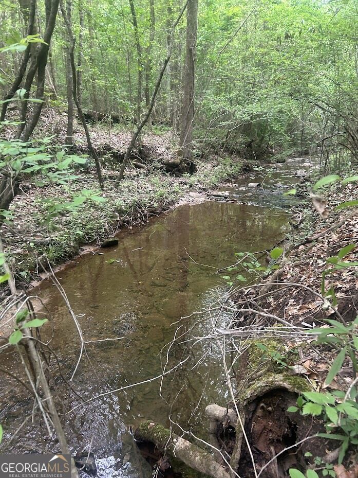 236 Riversong (tract 8) Property Photo 6