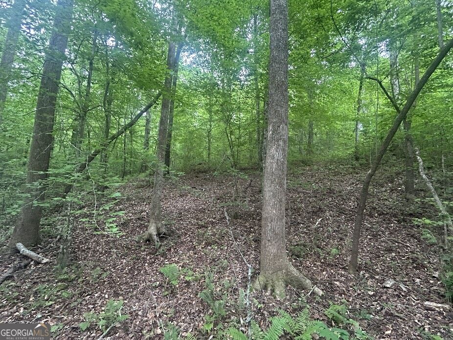 236 Riversong (tract 8) Property Photo 7