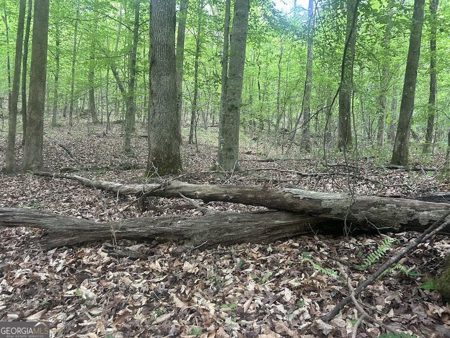 236 Riversong (tract 8) Property Photo 9