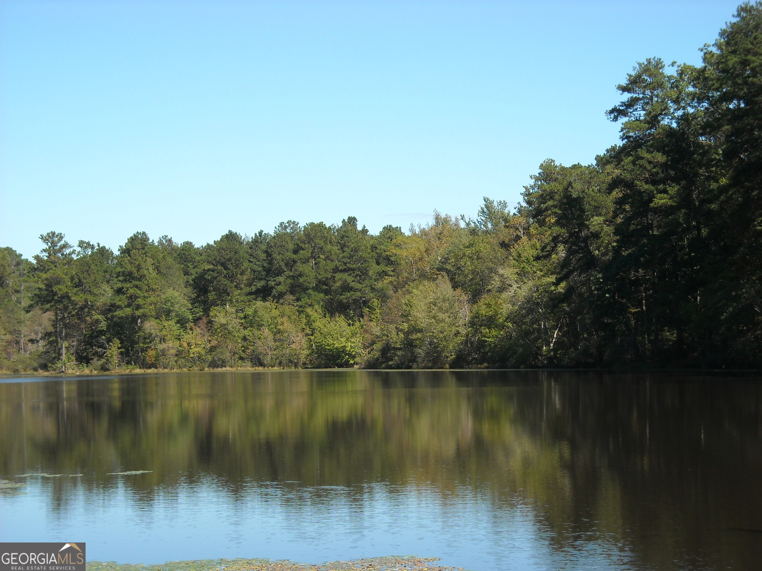 Tract 5 Rivers Road Property Photo 1