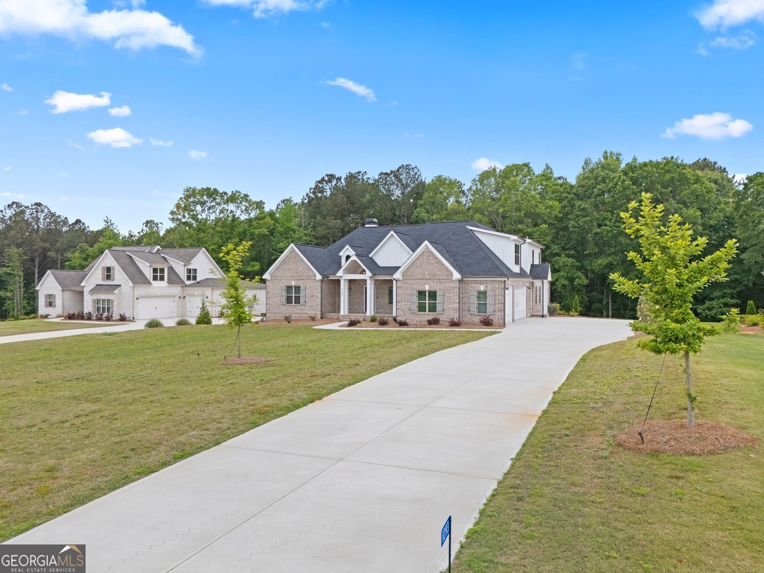 1293 Beebalm Drive Property Photo 2