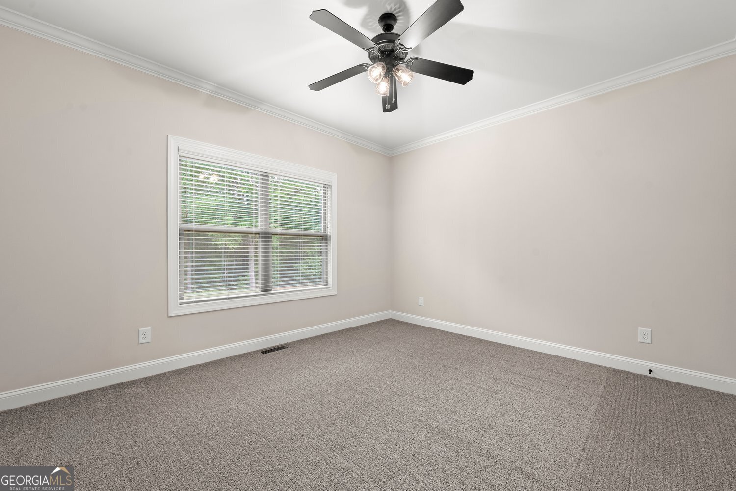 1293 Beebalm Drive Property Photo 33