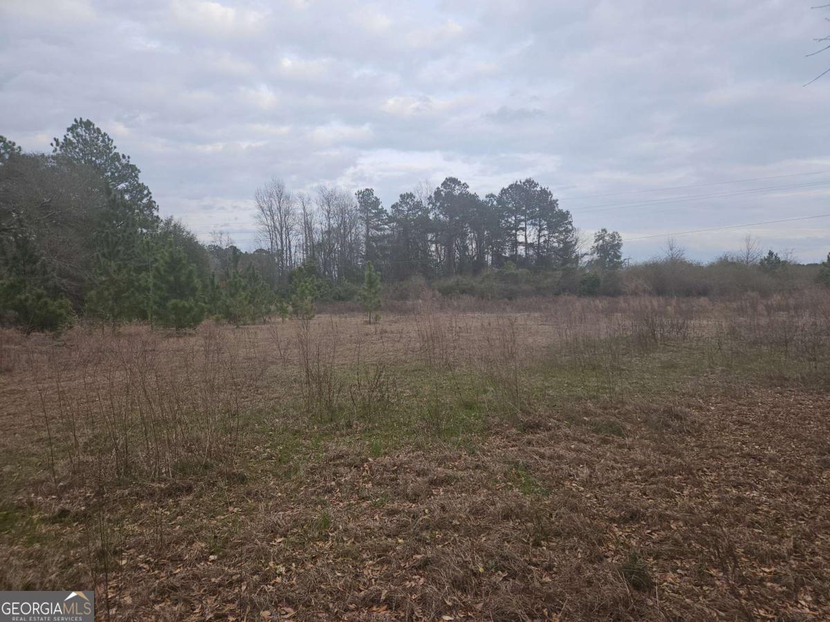 0 Snow Ridge Road Property Photo 9