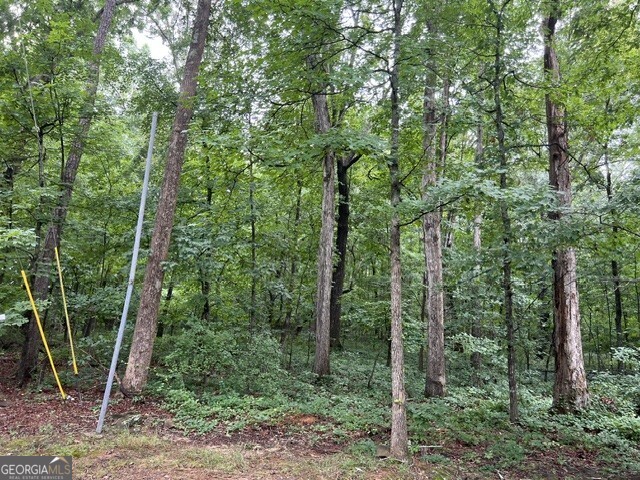 3871 Martin Drive Property Photo 1