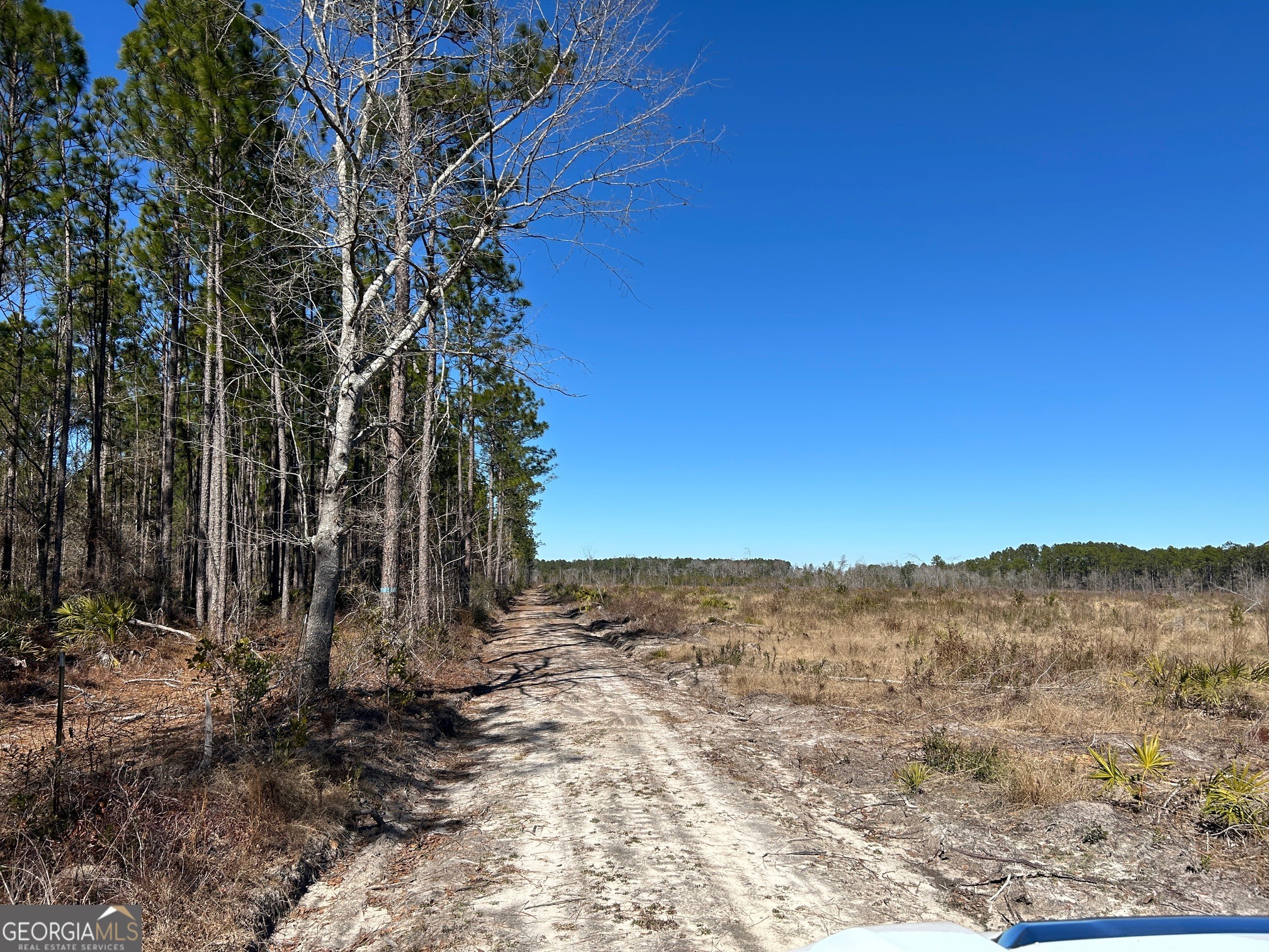 2840 Bay Branch Road Property Photo 4