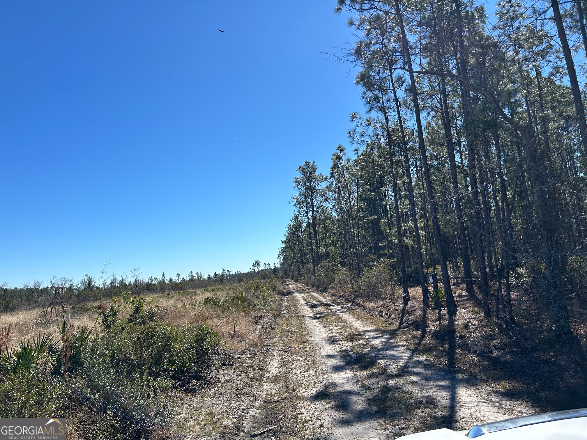 2840 Bay Branch Road Property Photo 6