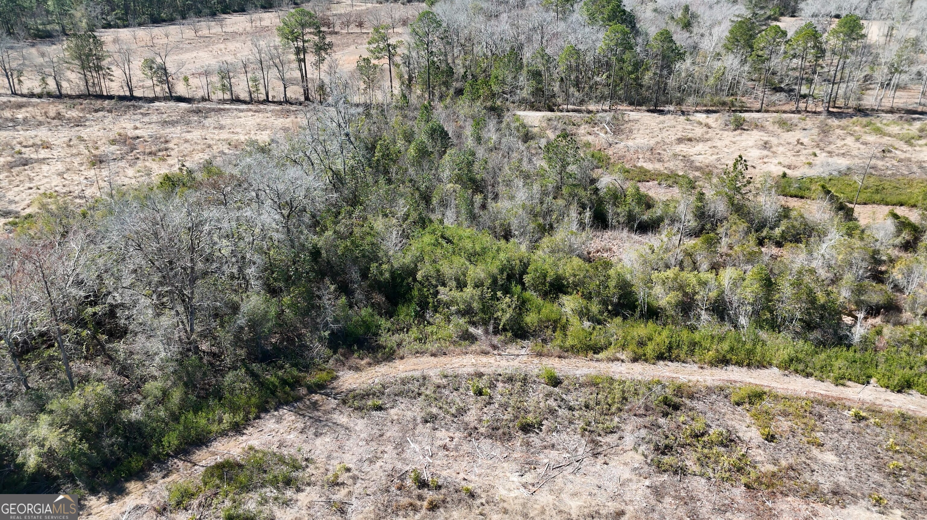 2840 Bay Branch Road Property Photo 7