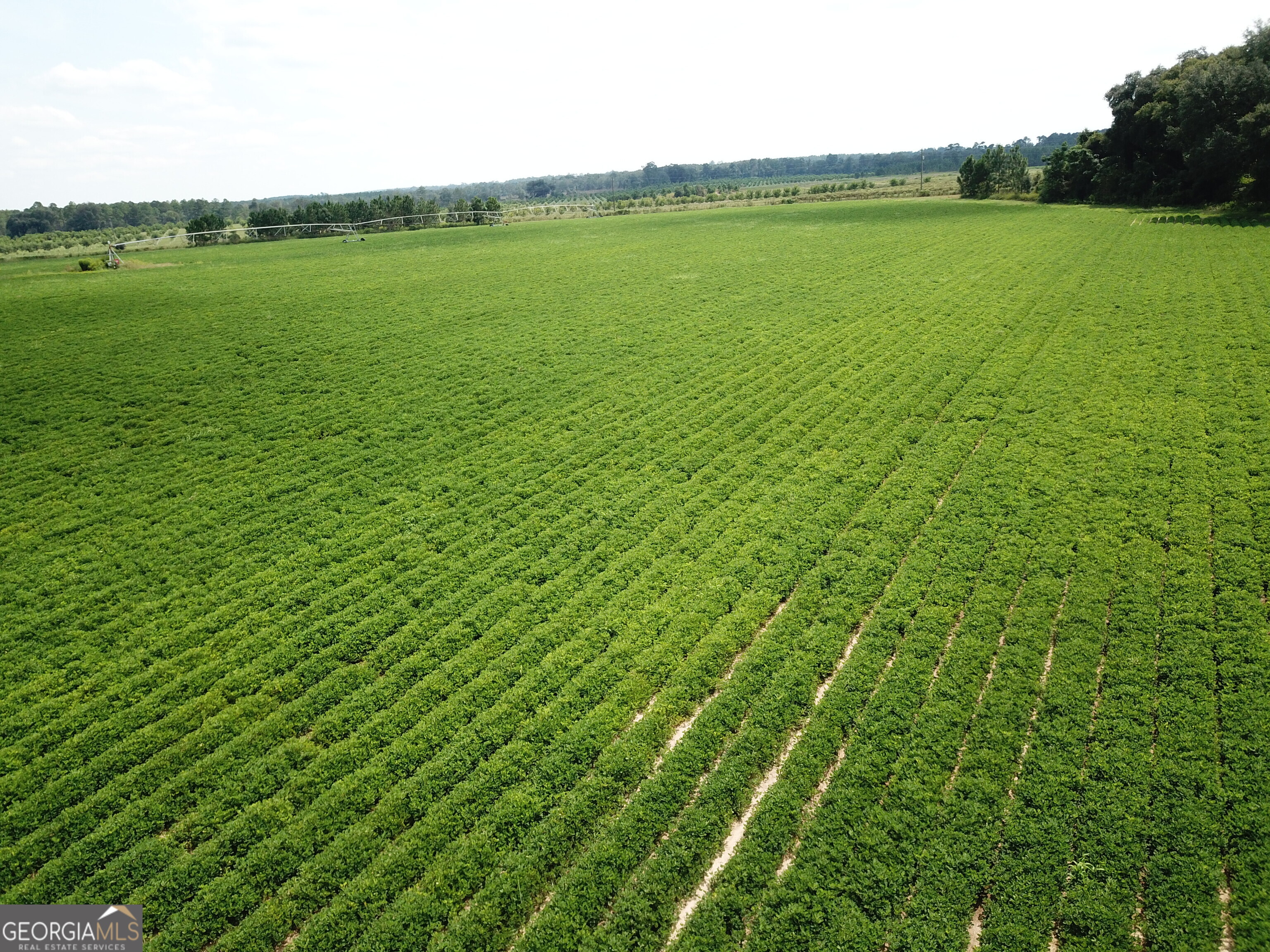 0 Highway 65 Property Photo 1