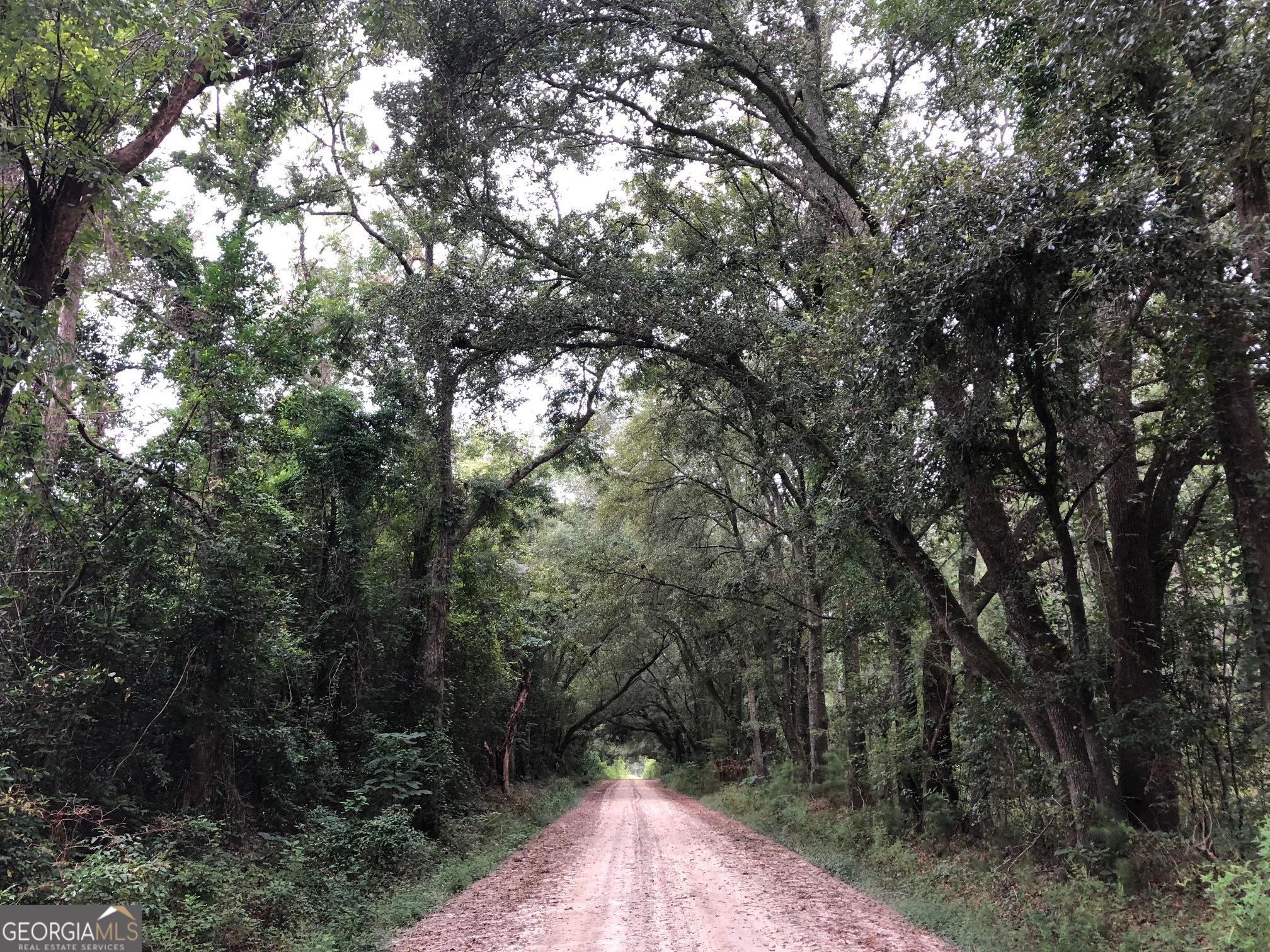 0 Highway 65 Property Photo 14