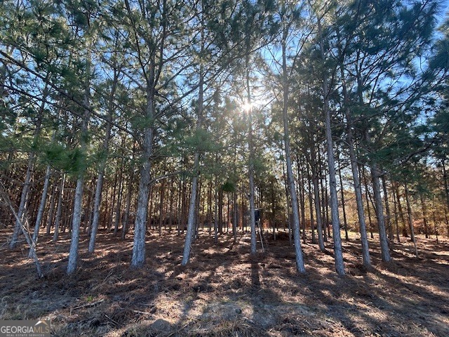 0 Highway 65 Property Photo 20
