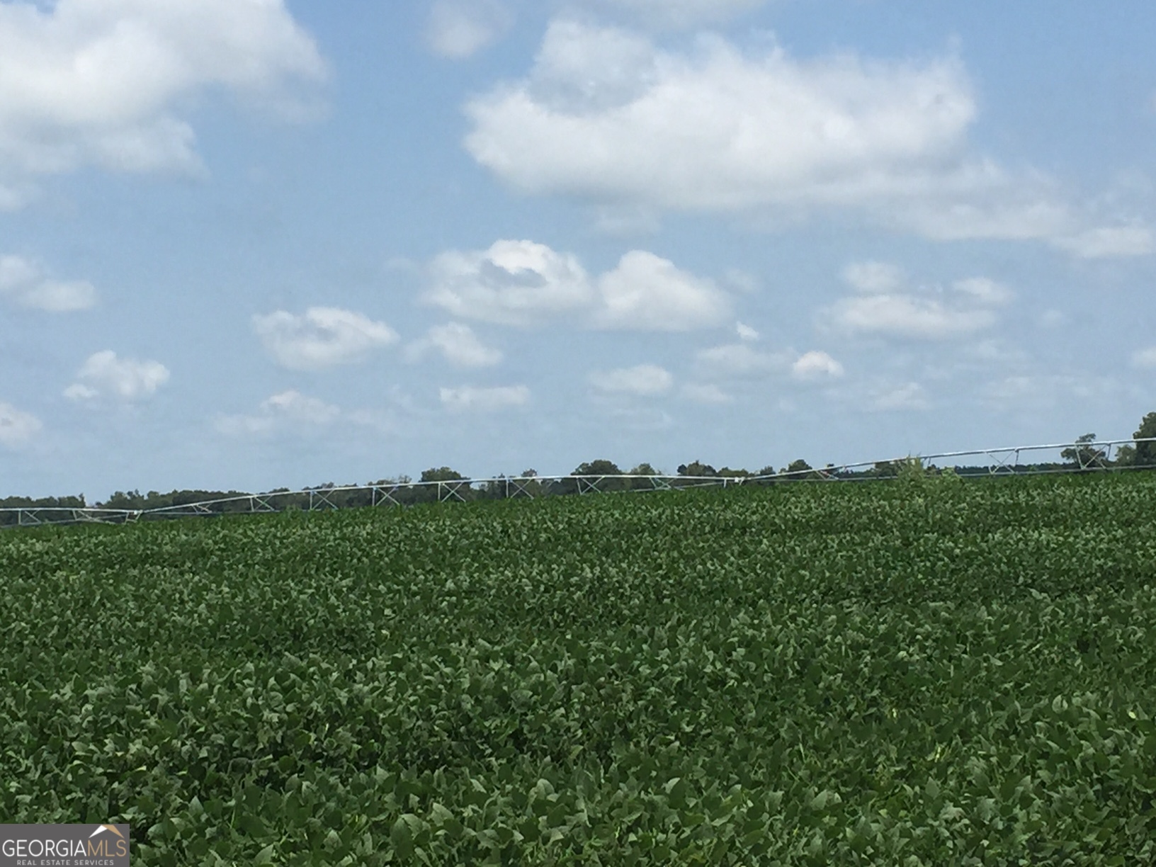 0 Highway 65 Property Photo 24