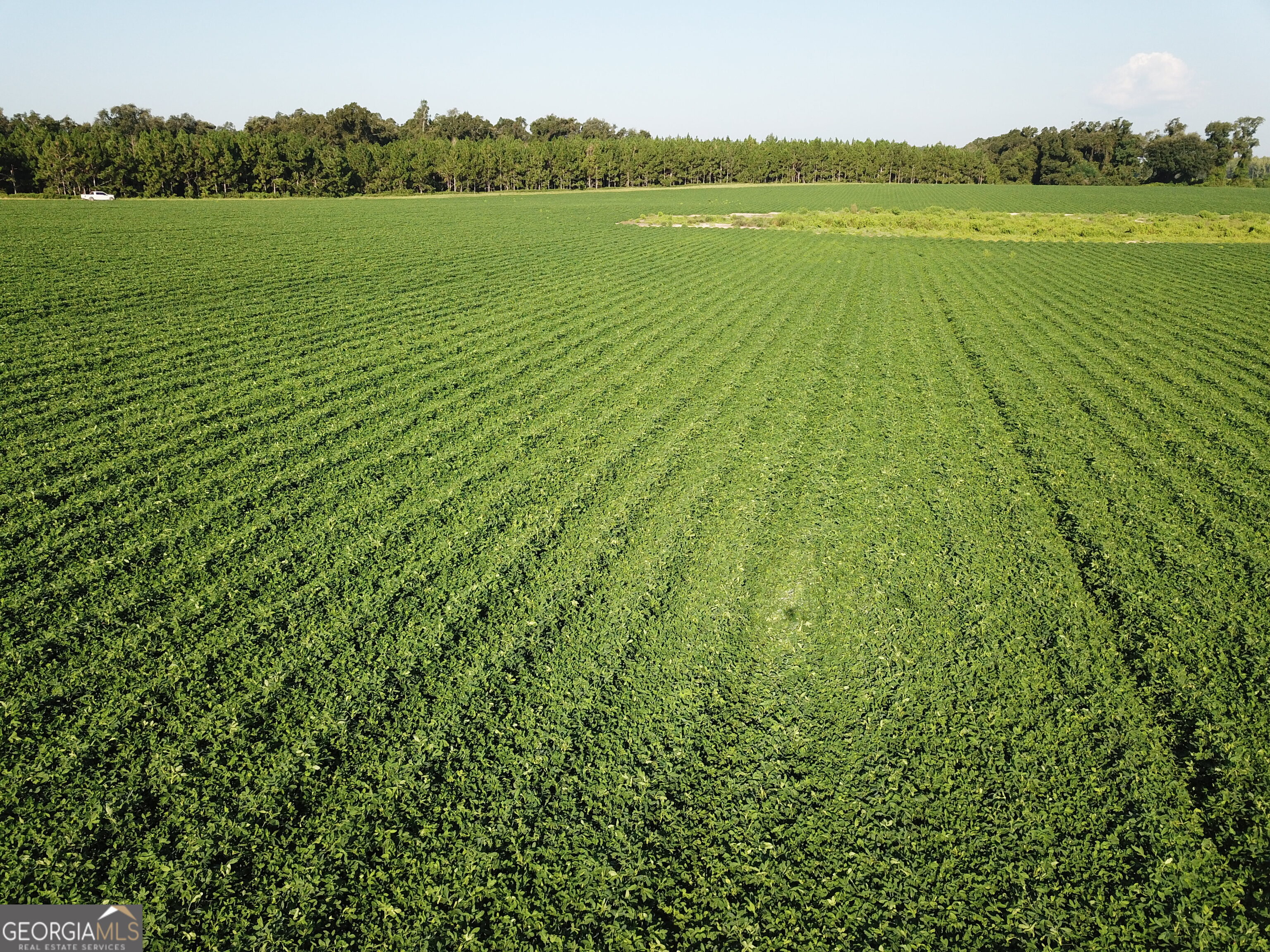 0 Highway 65 Property Photo 25