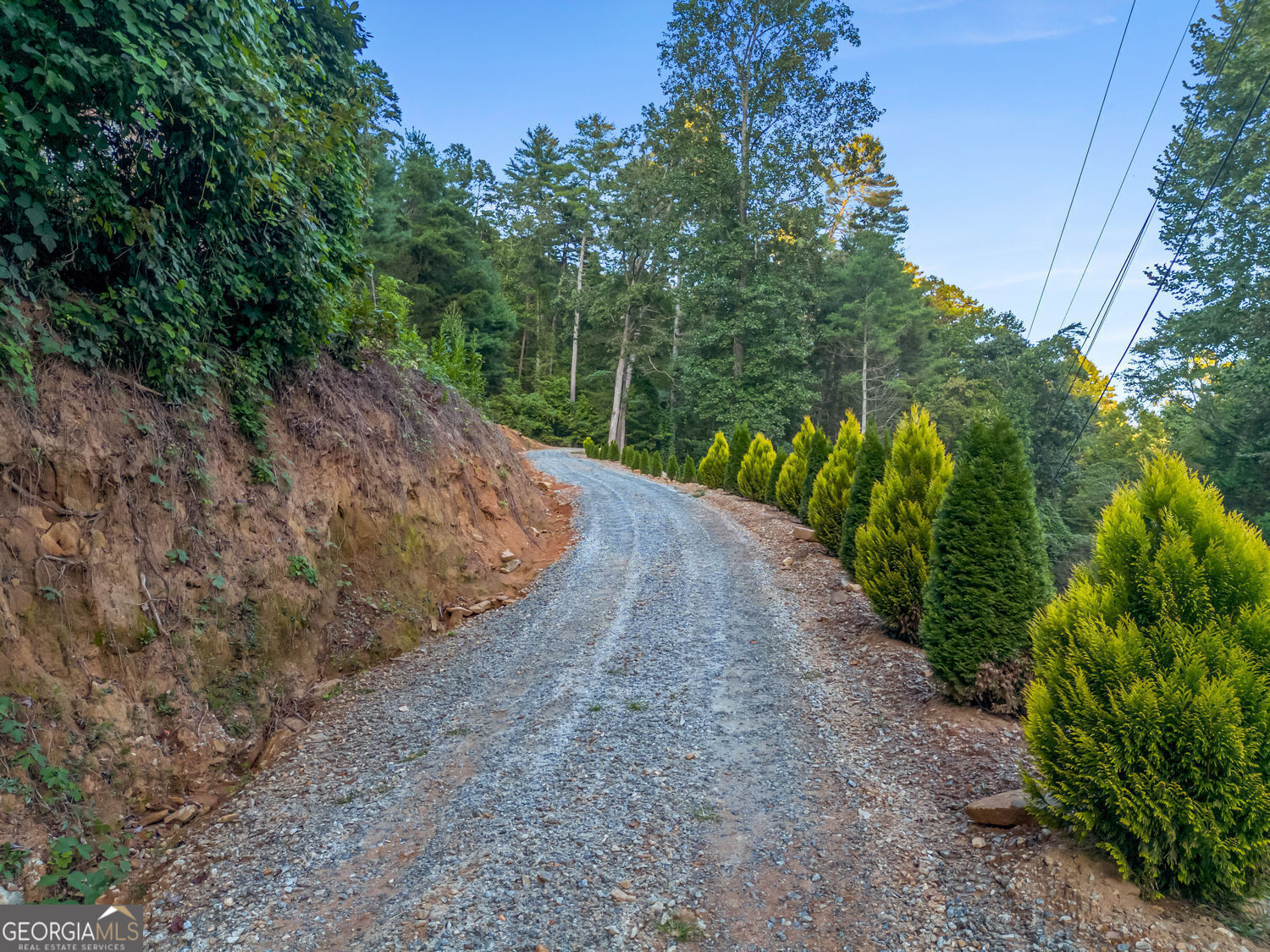 1063 Rickman Airfield Road Property Photo 6