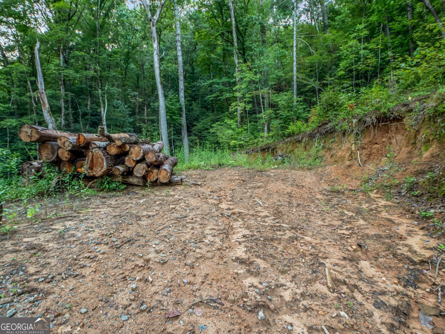 1063 Rickman Airfield Road Property Photo 33