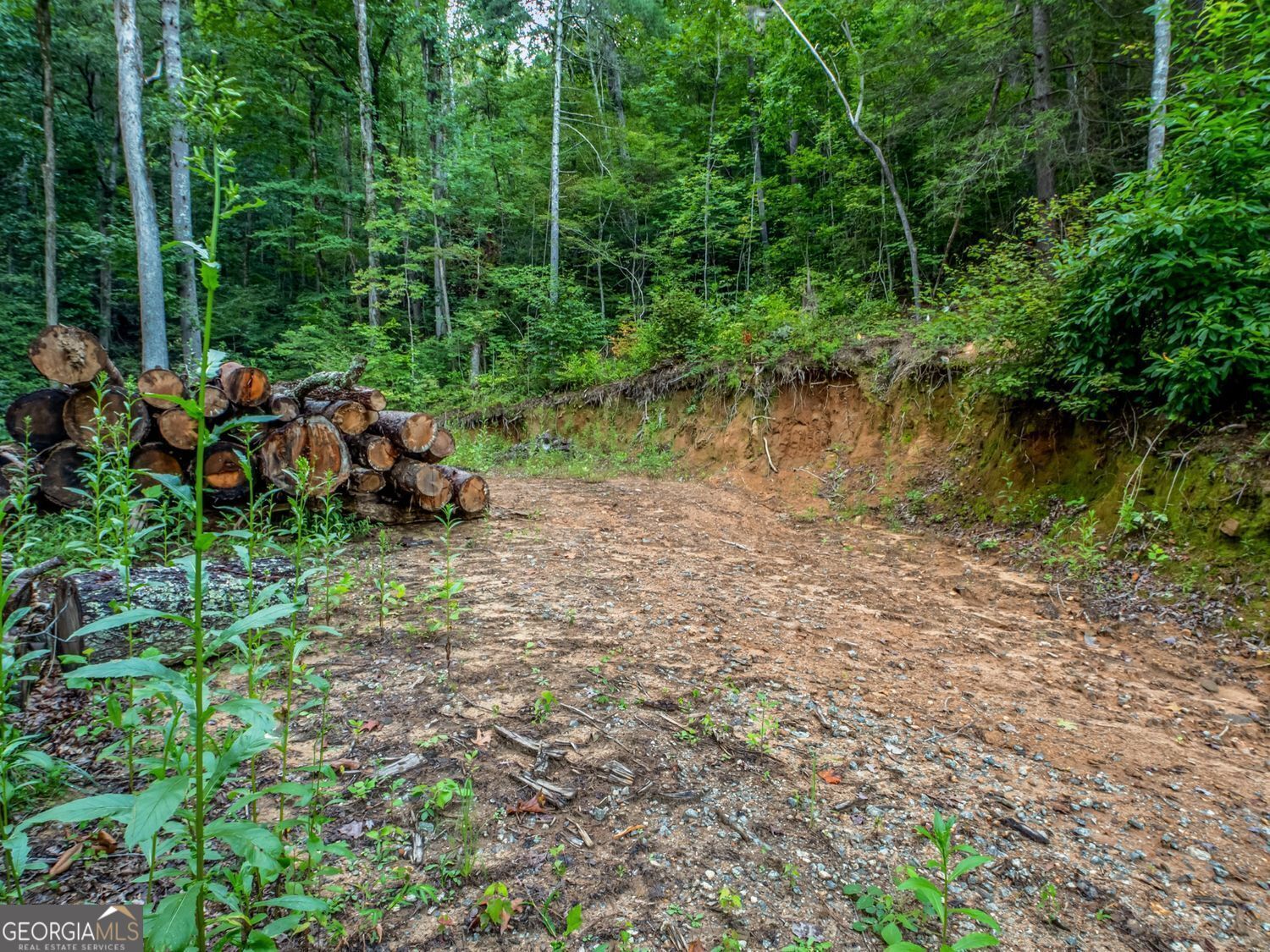 1063 Rickman Airfield Road Property Photo 34