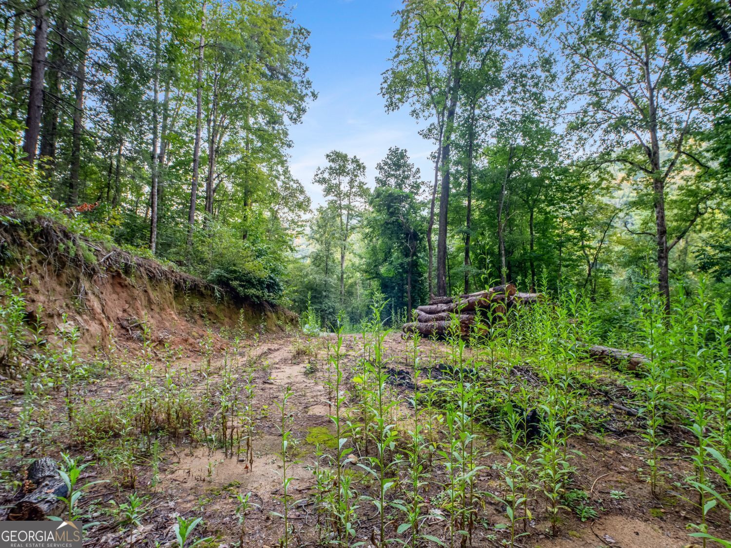 1063 Rickman Airfield Road Property Photo 35
