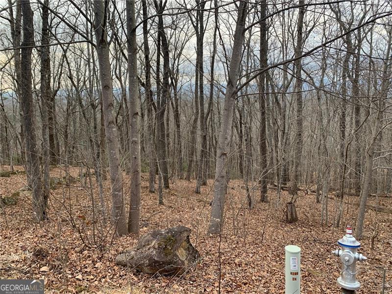 Lot 29 Long Mountain Trail Property Photo 4