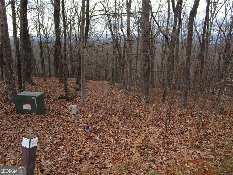 Lot 29 Long Mountain Trail Property Photo 6
