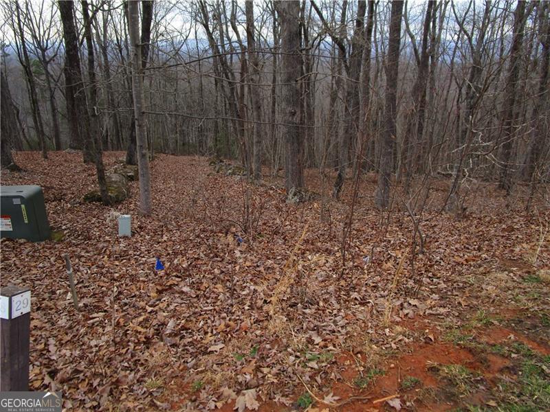 Lot 29 Long Mountain Trail Property Photo 7