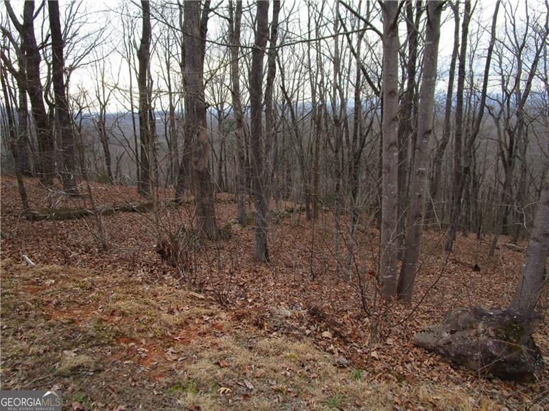 Lot 29 Long Mountain Trail Property Photo 8