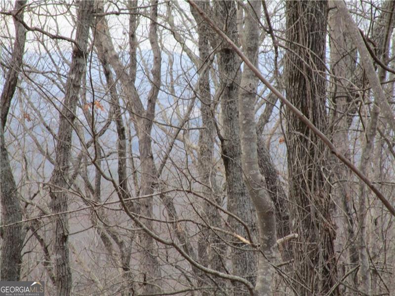 Lot 29 Long Mountain Trail Property Photo 9